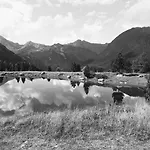 Zuppinger Apartment Mayrhofen