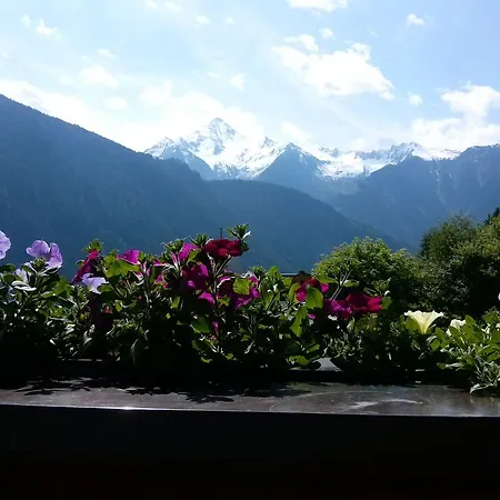 Appartement Zuppinger *