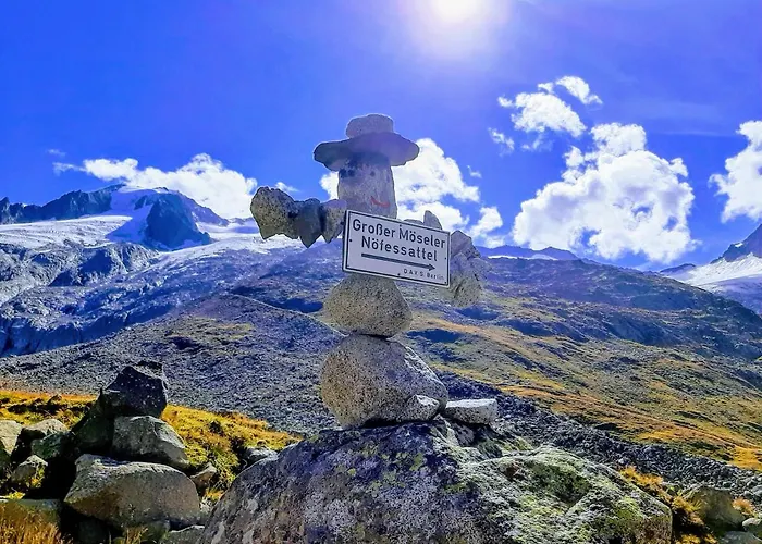 Zuppinger * 迈尔霍芬